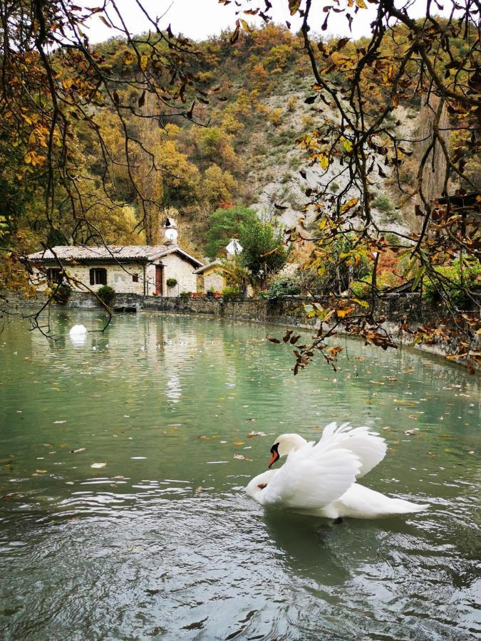 אסיסי Pianpieve Nature & Relax Apartments מראה חיצוני תמונה