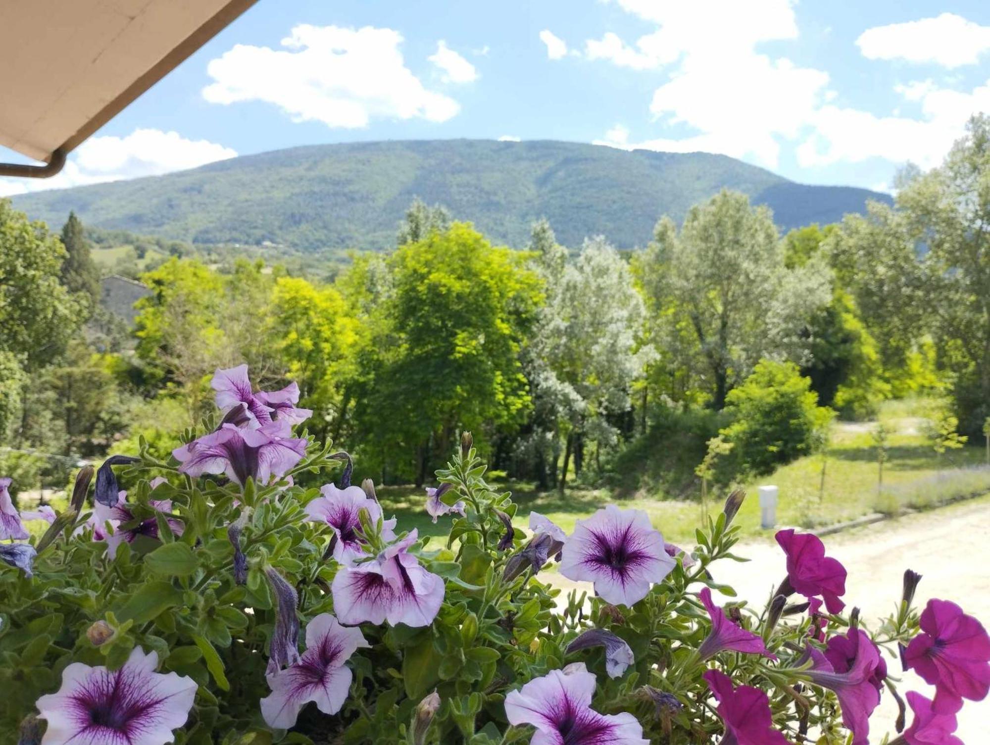 אסיסי Pianpieve Nature & Relax Apartments מראה חיצוני תמונה