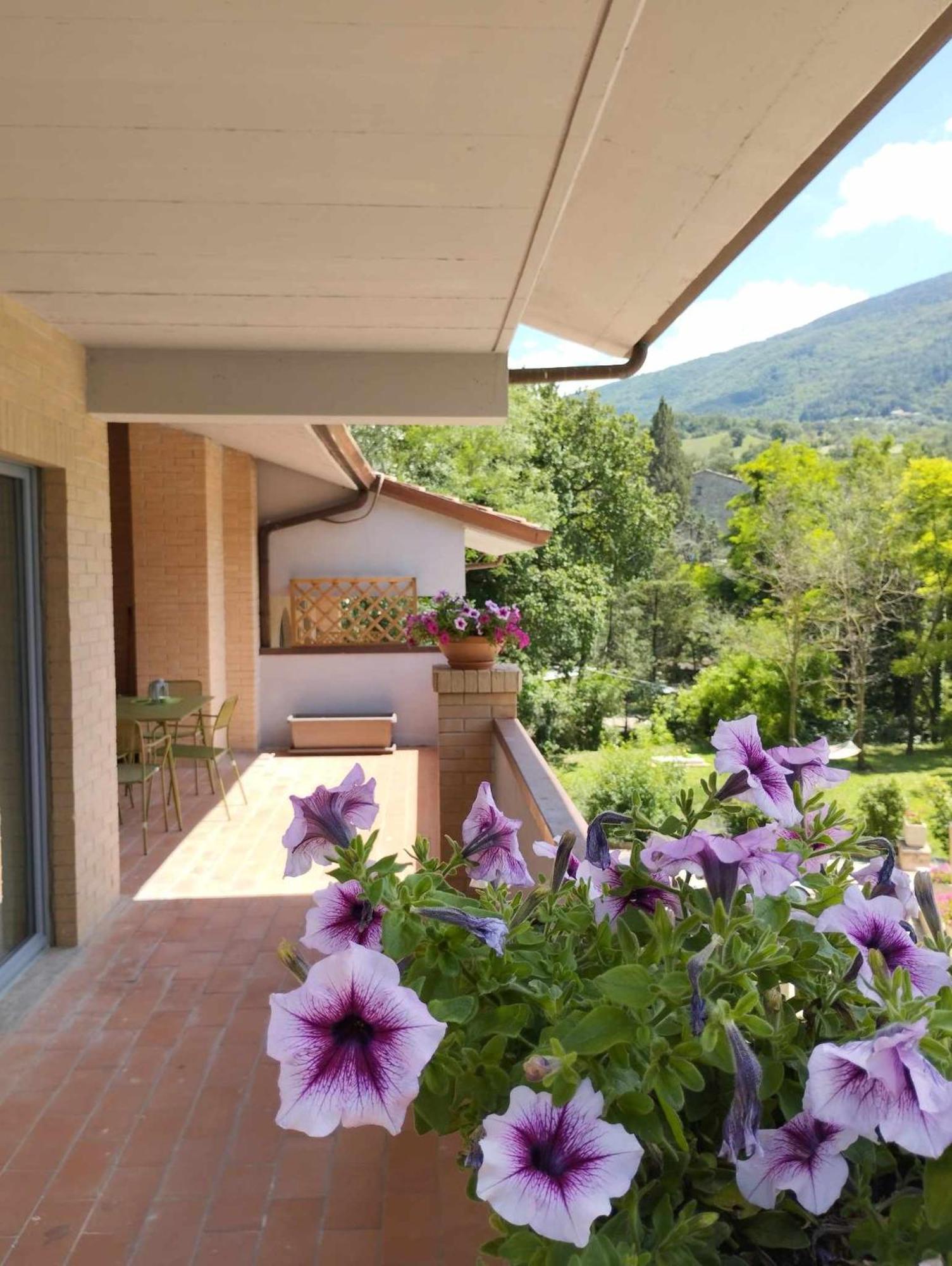אסיסי Pianpieve Nature & Relax Apartments מראה חיצוני תמונה
