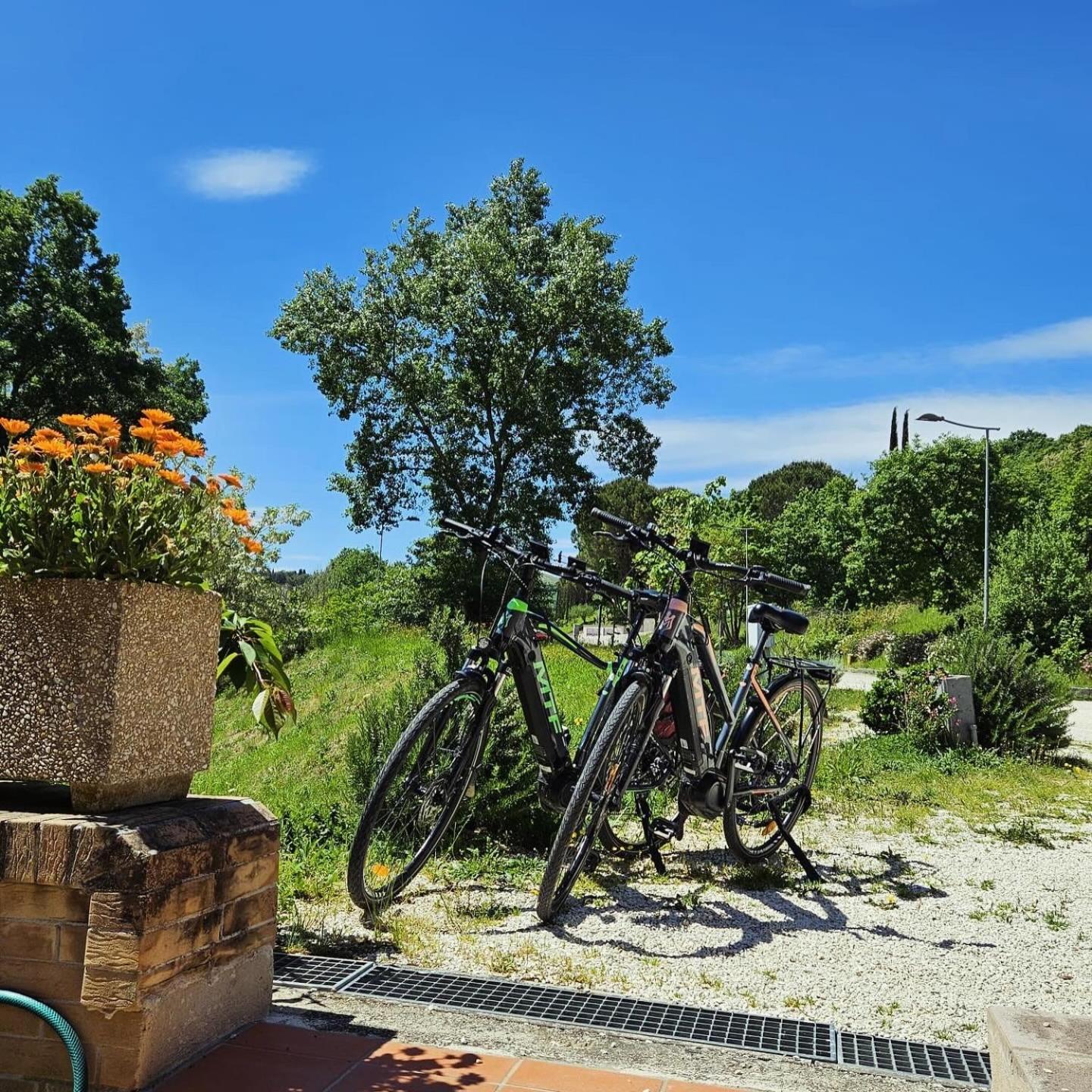 אסיסי Pianpieve Nature & Relax Apartments מראה חיצוני תמונה